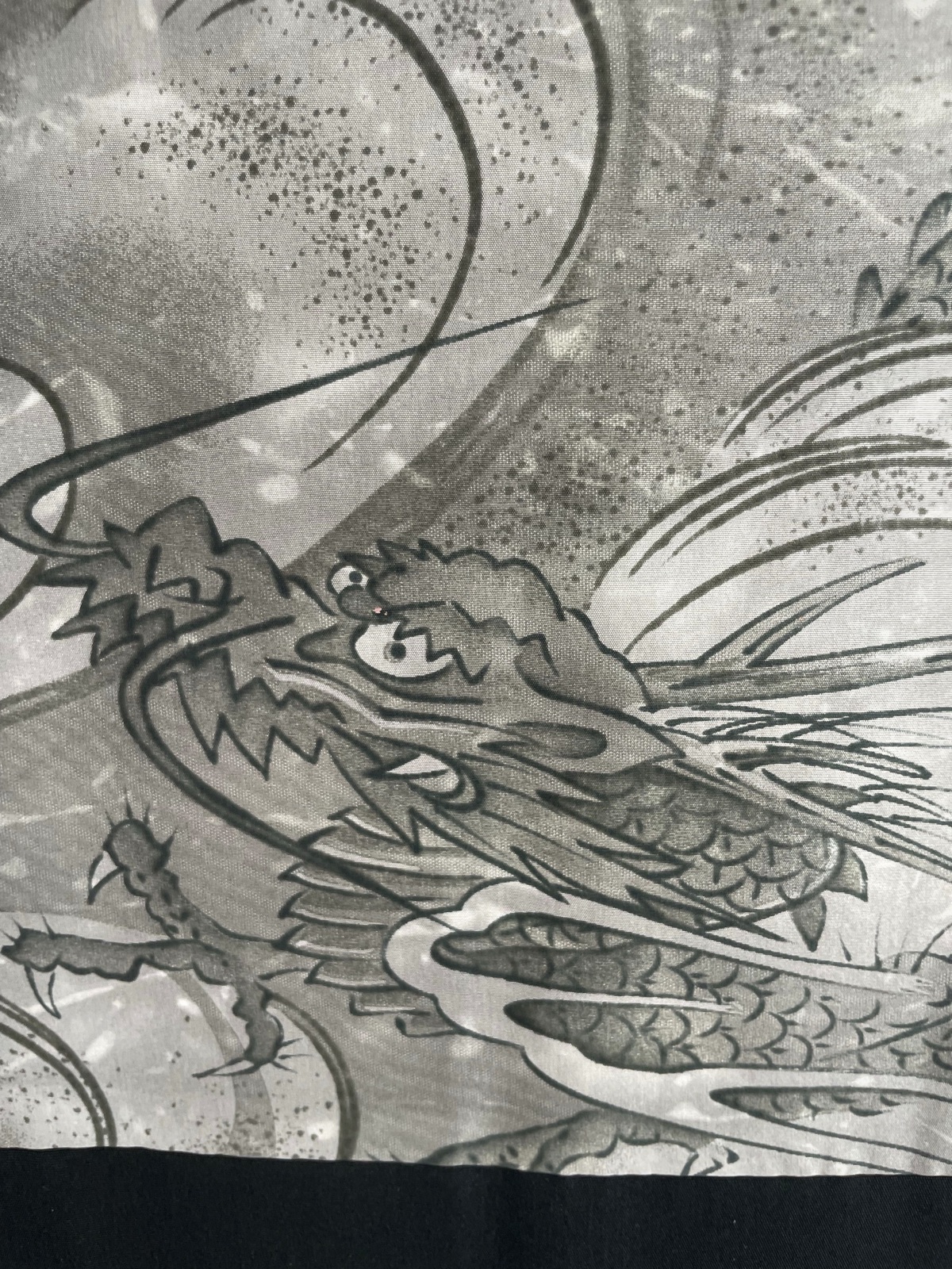 Le Dragon caché